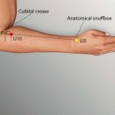 이유한의원 이미지