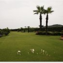 우도피아 이미지