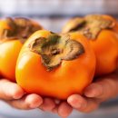 경남단감 원예농업협동조합 이미지