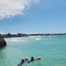 삼인농장 이미지