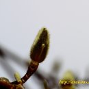 동녘마루마을 이미지