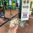 비타민랜드 | 에버랜드 방탈출 단편선 사라진 토토와 살아있는 책 야방 후기