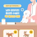 배곧도담동물병원 이미지