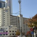 연아상회 | 연안부두 특대방어 추천 서림상회 내돈내산
