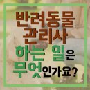 마스터그루밍클럽 | 반려동물관리사 하는 일은 무엇인가요?