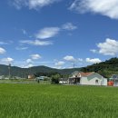 스테이 시래 이미지