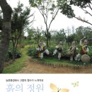 나비공원　 이미지