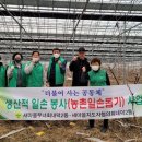 조성국농장 이미지