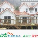 금오산 힐링캠프 이미지