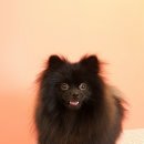 랄라펫살롱 이미지