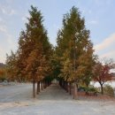 호반오토캠핑장 이미지