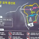 장군묘지 - 함양군 학사루2길 5-1 | 장군묘지