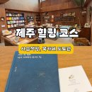 책방숨어있는책 | 제주 힐링 여행 추천! 사슴책방 vs 도토관, 직접 다녀온 제주 감성 북카페 후기