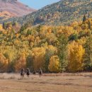 꽃향기 가득한 행촌 원예 프로그램 | 긴급속보! 노년 건강 지키는 마지막 기회? 화성요양원 선택, 후회 전에 확인하세요!