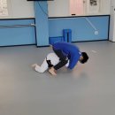 용인대 범 유도 클럽(오남점) | 초등학생 유도,국가대표 체육관 오남학원 믿고맡겨요