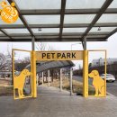 펫 게스트하우스 | 여행기) 2025년 봄에 떠나는 두번째 제주도 성산 여행! 반려견동반 게스트하우스와 느좋 카페 방문후기