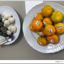 늘봄웰봄 이미지