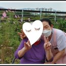 YWCA은학의집(노인요양시설) 이미지