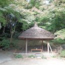 도쿄14 - 도심속에 편안한 휴식처, 신주쿠 정원을 구경하다! 이미지