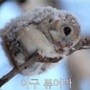 산호대로-33 이미지