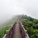 오서산상담마을 | 은빛 물결, 대한민국 IT 전문가 유영환 작가가 직접 오서산 정상을 찍고 온 이유와 완벽 등산 가이드