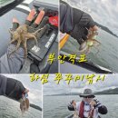 부안격포권 쭈꾸미낚시 하섬포인트 에기선택법 꿀팁 트리거z 후기