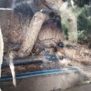 초록나무유치원 | 국립생태원 에코리움 후기 2｜사막관 &amp; 지중해관 아이 반응 솔직 후기