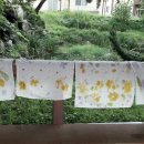 양곡리체험마을 이미지