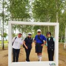 2025.9.16.(화)덕소 한강변길 걷기. 이미지