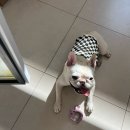 름이상점 이미지