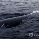 해일통신 이미지