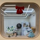 미용하는 훈련사 | 장전동 부산대 애견미용 맛집 &#39;이따봐요&#39; 솔직후기 또갈집