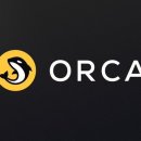 오르카(Orca) 티스토리