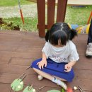 다목초병설유치원 이미지