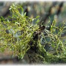 우신건강원 이미지