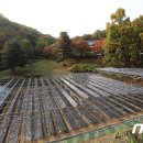 새마을 태양광발전소 이미지