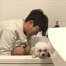 칠봉이네 이미지