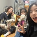 자미당 춘천점 | 11월 일상 | 가을 산책 | 강촌 유기견 봉사 | 스지명당