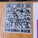 연못들4 | 영종도 이색카페 작은연못 후기 (수족관 카페)