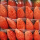 딸기킹