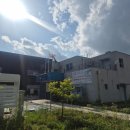 The드림어린이집 | 미아방지 지문 등록 어린이집에서 놓쳤다면? (안전Dream 앱 + 지구대 방문 후기, 22개월 아기 팁)