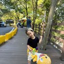 공주계곡캠핑 네이버블로그