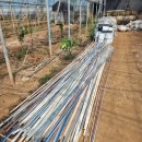 강정동-23 이미지