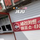 선주농장 | 사랑을 할 때 너를 닮을게(in. 제주)
