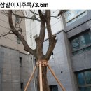 안성조경자재
