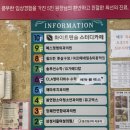 산호대로-31 | 1n년차 내성발톱으로 고통받는 사람의 오로지푸스 내성발톱 관리 솔직후기