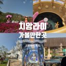 현대오토바이 | 치앙라이 오토바이 렌트 가볼만한곳 총정리 (꽃축제까지)