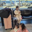 해애루민박 이미지