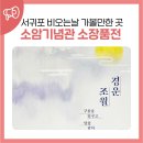 호시절 | 서귀포 비오는 날 가볼만한 곳 소암기념관 소장품전