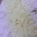 예미지세탁 이미지